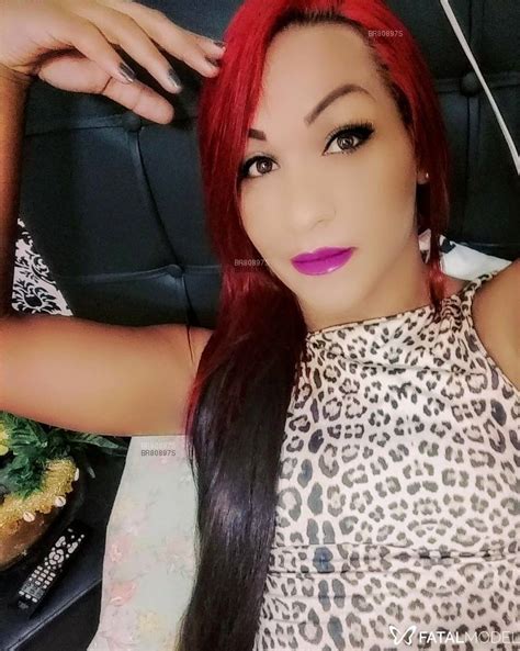 Travestis ou transex Caraguatatuba (SP)